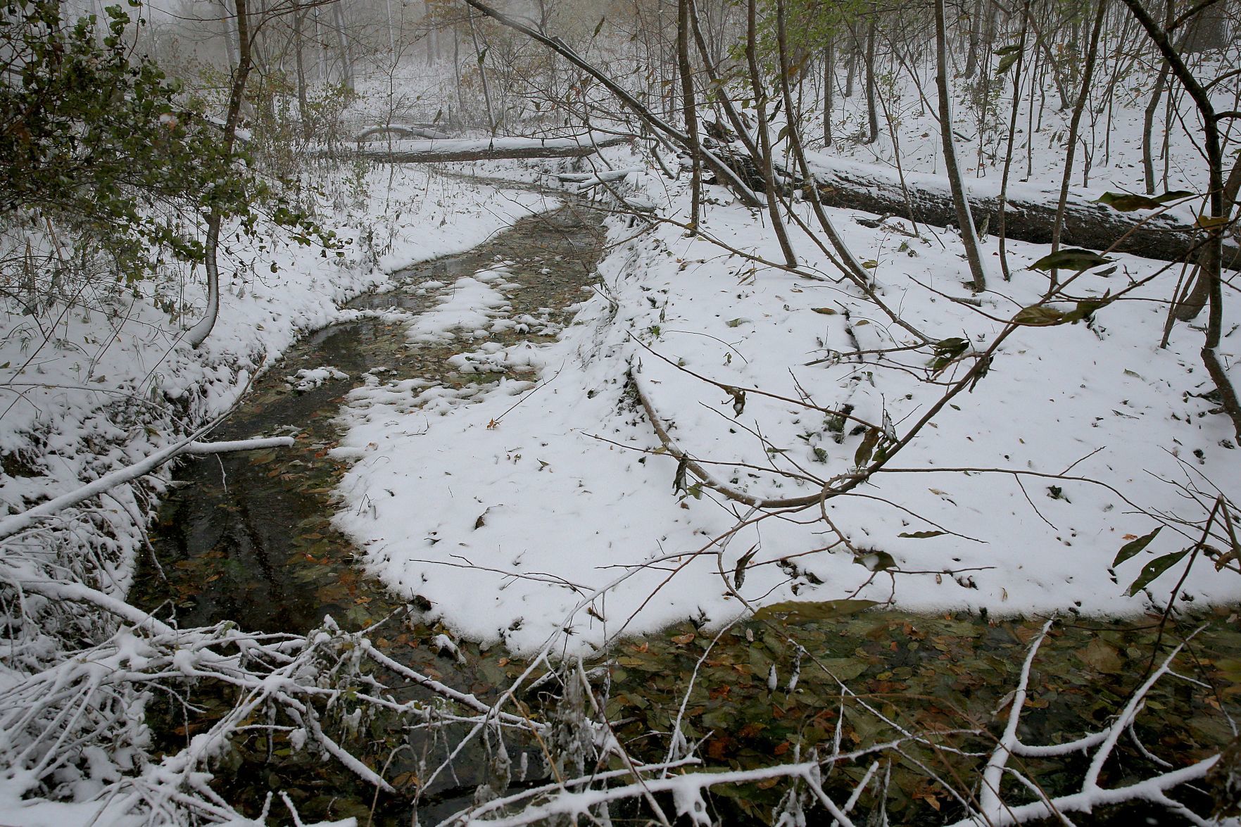 First snow of the season in St. Louis